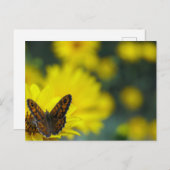 Yellow Daisy Helenium Briefkaart (Voorkant / Achterkant)