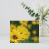 Yellow Daisy Helenium Briefkaart (Staand voorkant)