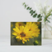 Yellow Daisy Helenium Briefkaart (Staand voorkant)