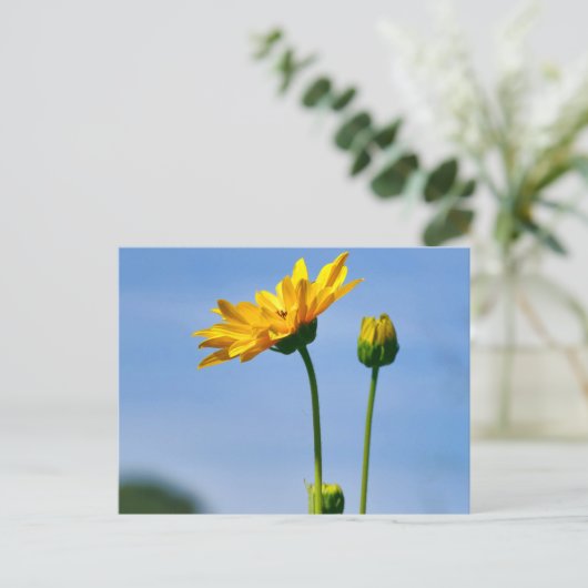 Yellow Daisy Helenium Briefkaart (Staand voorkant)