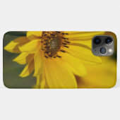 Yellow Daisy Helenium Case-Mate iPhone Case (Achterkant (horizontaal))