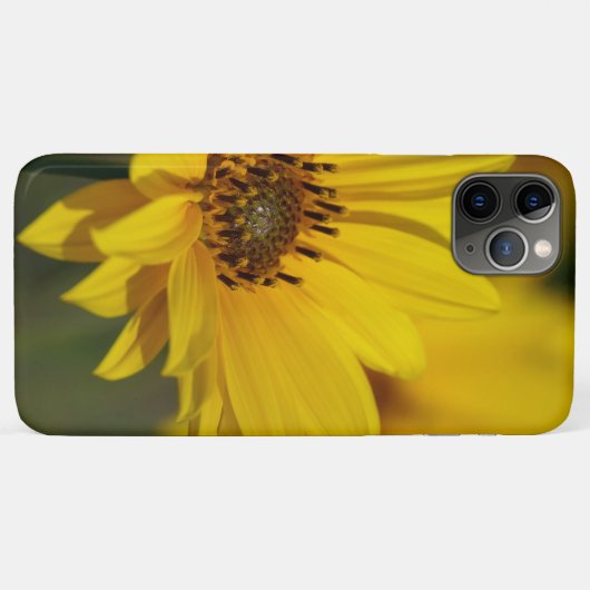 Yellow Daisy Helenium Case-Mate iPhone Case (Achterkant (horizontaal))