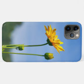 Yellow Daisy Helenium Case-Mate iPhone Case (Achterkant (horizontaal))