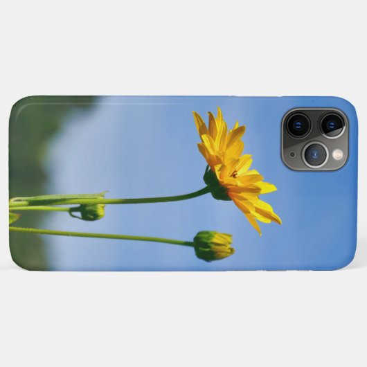 Yellow Daisy Helenium Case-Mate iPhone Case (Achterkant (horizontaal))