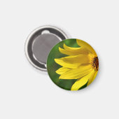 Yellow Daisy Helenium Magneet (Voorkant / Achterkant)