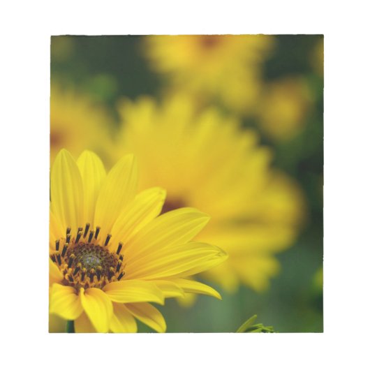 Yellow Daisy Helenium Notitieblok (Voorkant)