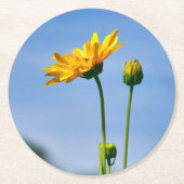 Yellow Daisy Helenium Ronde Kartonnen Onderzetter (Voorkant)