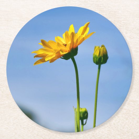 Yellow Daisy Helenium Ronde Kartonnen Onderzetter (Voorkant)