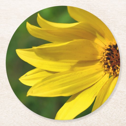 Yellow Daisy Helenium Ronde Kartonnen Onderzetter (Voorkant)