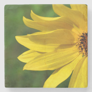 Yellow Daisy Helenium Stenen Onderzetter