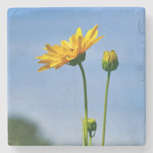 Yellow Daisy Helenium Stenen Onderzetter (Voorkant)