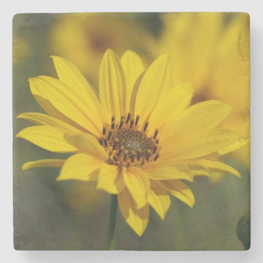 Yellow Daisy Helenium Stenen Onderzetter (Voorkant)