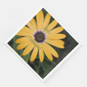 Yellow Daisy Let's Celebrate Servet (Hoek)