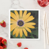 Yellow Daisy Let's Celebrate Servet (Insitu)