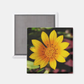 Yellow Daisy Magneet (Voorkant / Achterkant)