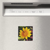 Yellow Daisy Magneet (Insitu (Vaatwasser))