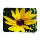 Yellow Daisy Magneet (Horizontaal)