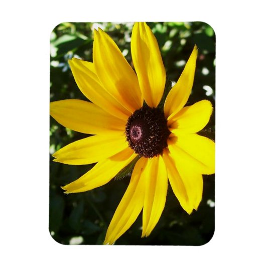 Yellow Daisy Magneet (Verticaal)