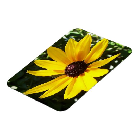 Yellow Daisy Magneet (Linkerzijde)