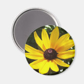 Yellow Daisy Magnet (Voorkant / Achterkant)