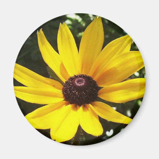 Yellow Daisy Magnet (Voorkant)