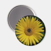 Yellow Daisy Magnet (Voorkant / Achterkant)