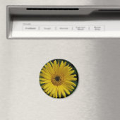 Yellow Daisy Magnet (Insitu (Vaatwasser))