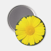 Yellow Daisy magnet (Voorkant / Achterkant)