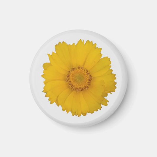 Yellow Daisy Magnet (Voorkant)