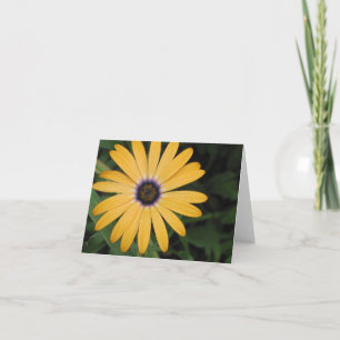 Yellow Daisy Note Card Kaart