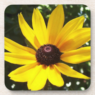 Yellow Daisy Onderzetter