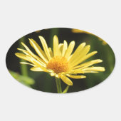Yellow Daisy Ovale Sticker (Voorkant)