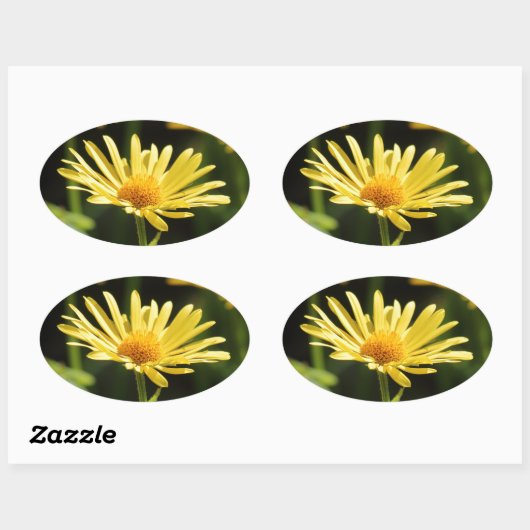 Yellow Daisy Ovale Sticker (Vel)