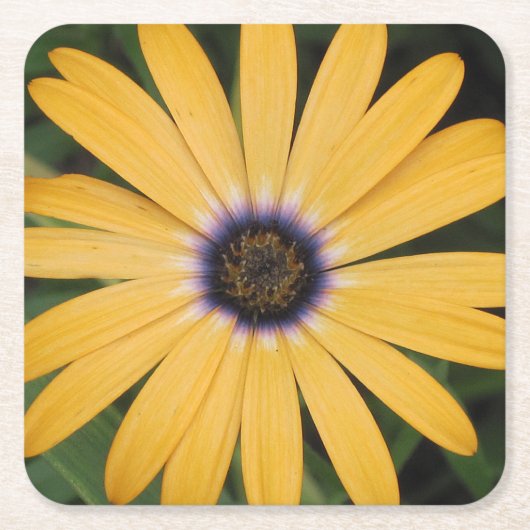 Yellow Daisy Party Onderzetter (Voorkant)