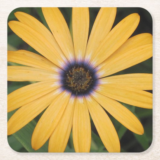 Yellow Daisy Party Onderzetter (Voorkant)