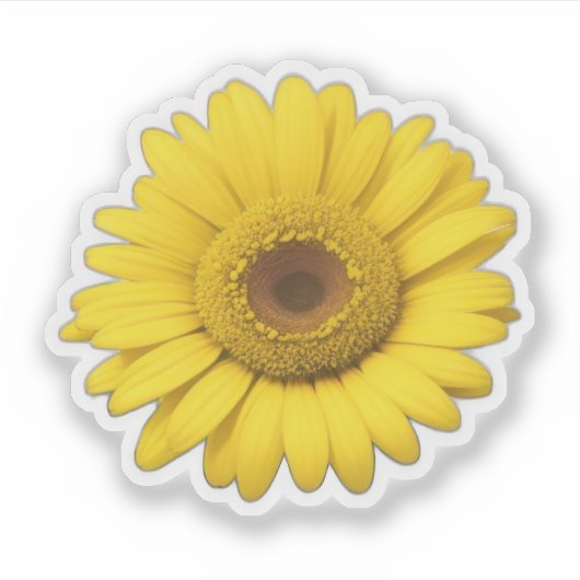 Yellow Daisy Petals  Sticker (Voorkant)