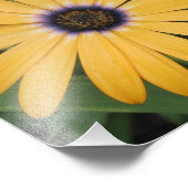 Yellow Daisy Photo Print Foto Afdruk (Hoek)