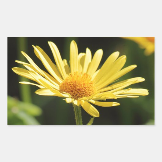 Yellow Daisy Rechthoekige Sticker (Voorkant)