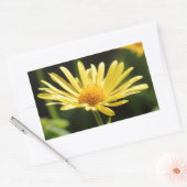 Yellow Daisy Rechthoekige Sticker (Envelop)