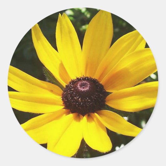 Yellow Daisy Ronde Sticker (Voorkant)