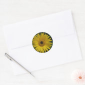 Yellow Daisy Stickers (Envelop)