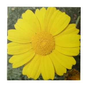 Yellow Daisy tegel Tegeltje