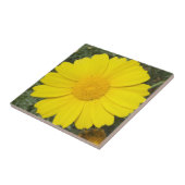 Yellow Daisy tegel Tegeltje (Zijkant)