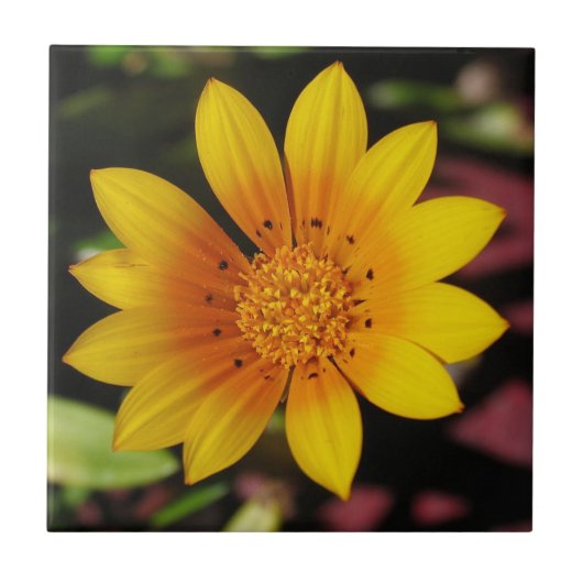 Yellow Daisy Tile Tegeltje (Voorkant)