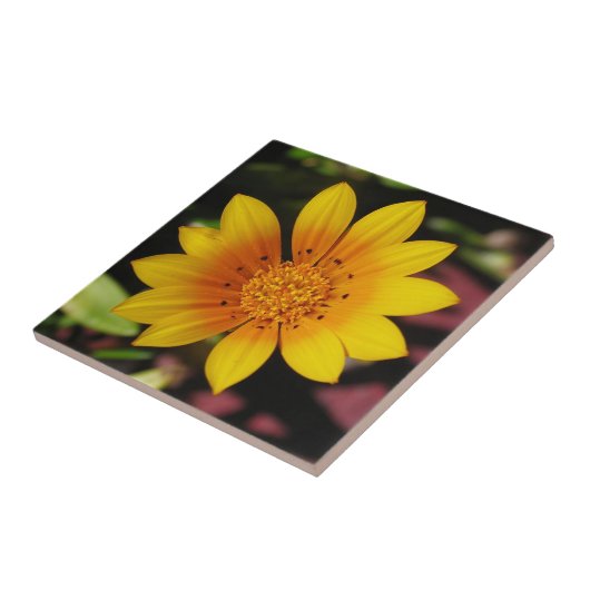 Yellow Daisy Tile Tegeltje (Zijkant)