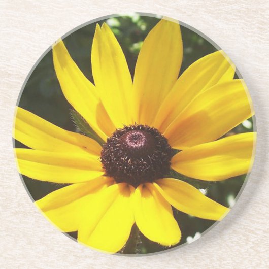 Yellow Daisy Zandsteen Onderzetter (Voorkant)