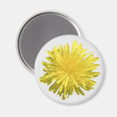 Yellow Dandelion Magnet (Voorkant / Achterkant)