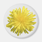 Yellow Dandelion Magnet (Voorkant)
