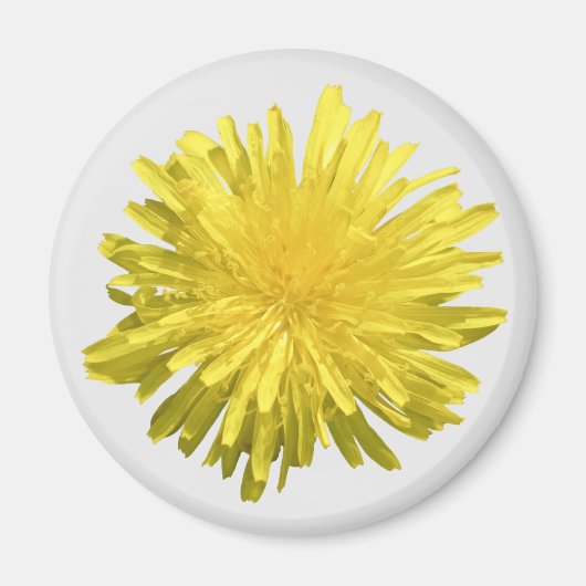 Yellow Dandelion Magnet (Voorkant)
