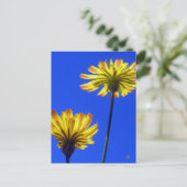 Yellow Dandelions Against Blue Sky Briefkaart (Staand voorkant)